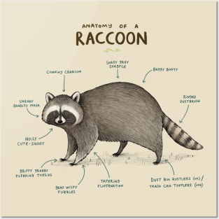Anatomy of a Raccoon Posters and Art